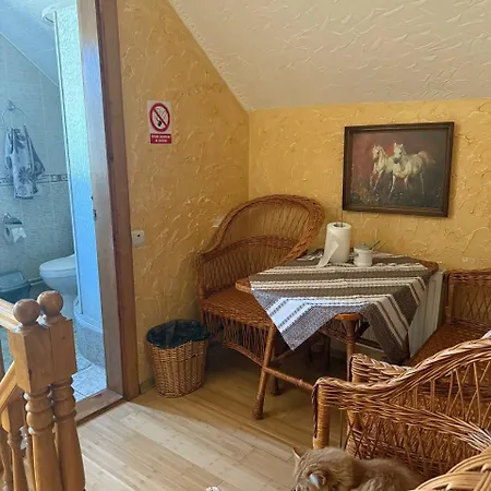 колиска карпат Guest house Slavske